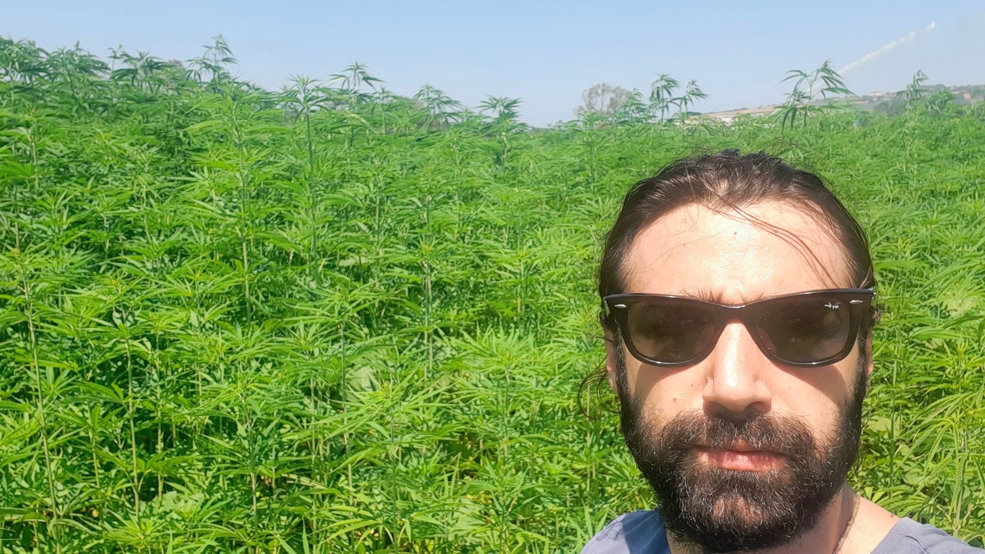 Berk Sohtorik saha çalışması